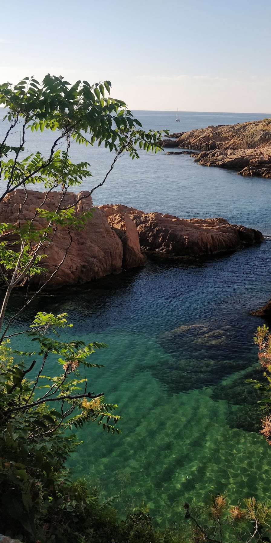 A picture of blue-grean Mediterranean sea, with rocks and plants in an inlet